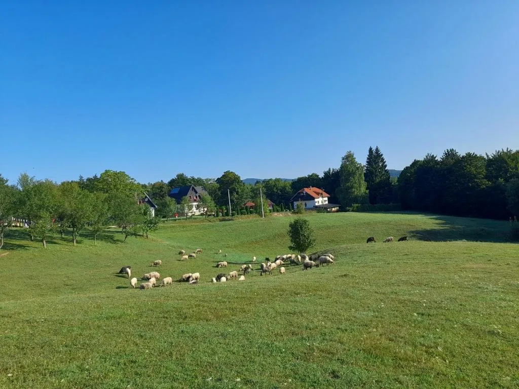 Plitvice Breza - Plitvice Breza - Surroundings