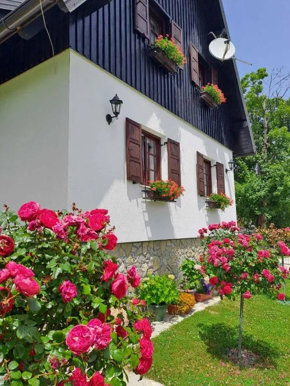 Plitvice Breza - Plitvice Breza - Surroundings