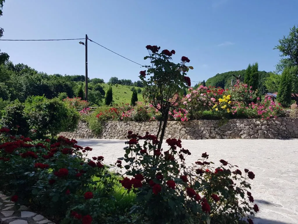 Plitvice Breza - Plitvice Breza - Surroundings