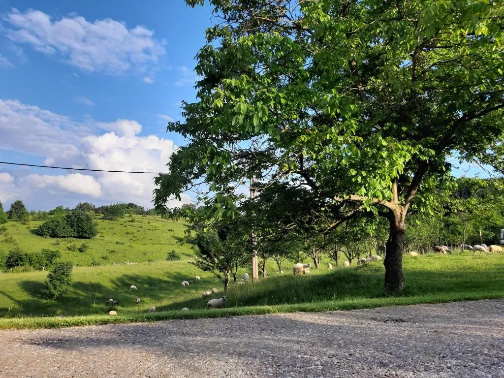 Plitvice Breza - Plitvice Breza - Surroundings