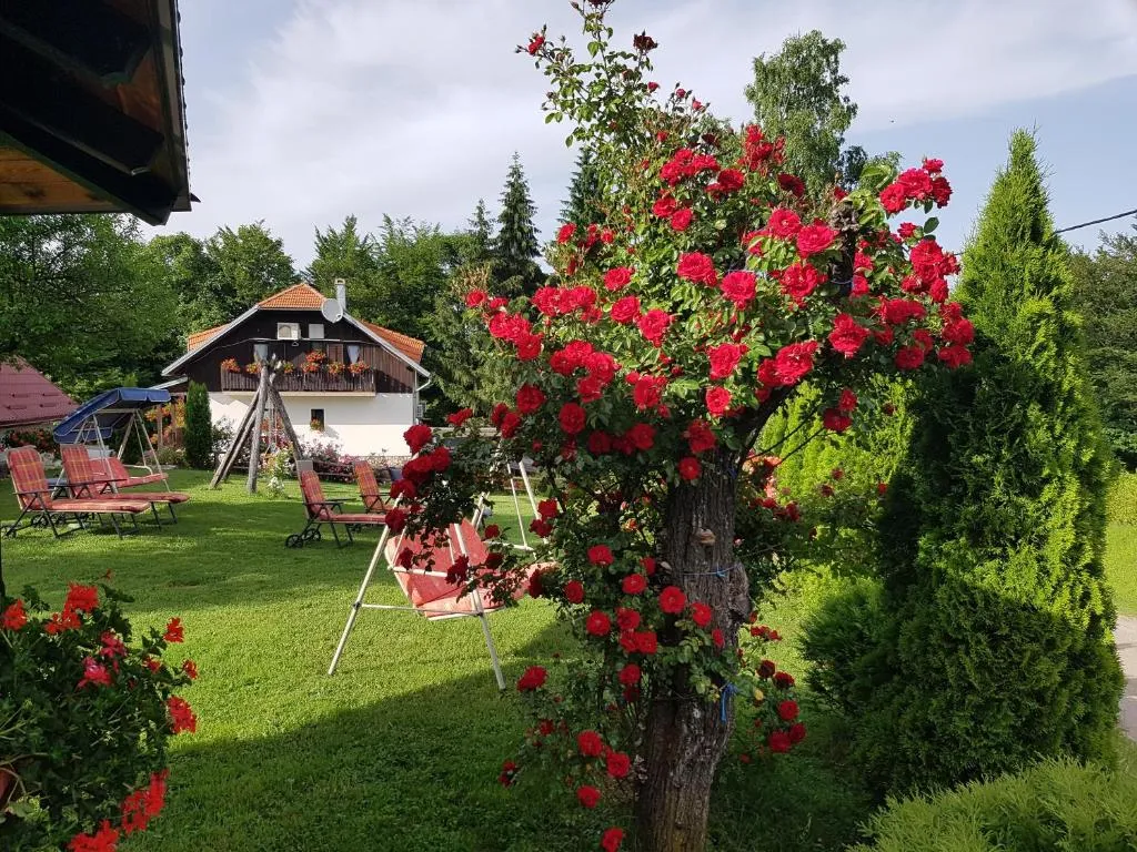 Plitvice Breza - Plitvice Breza - Surroundings