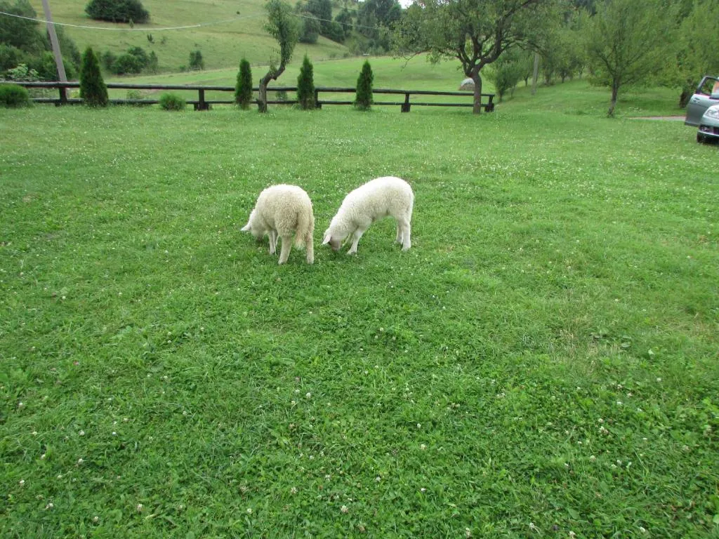 Plitvice Breza - Plitvice Breza - Surroundings