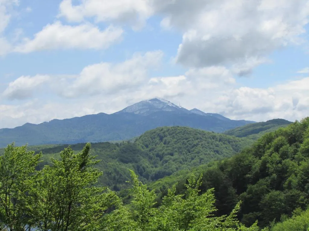 Plitvice Breza - Plitvice Breza - Surroundings