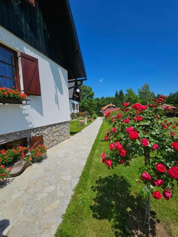 Plitvice Breza - Plitvice Breza - Surroundings