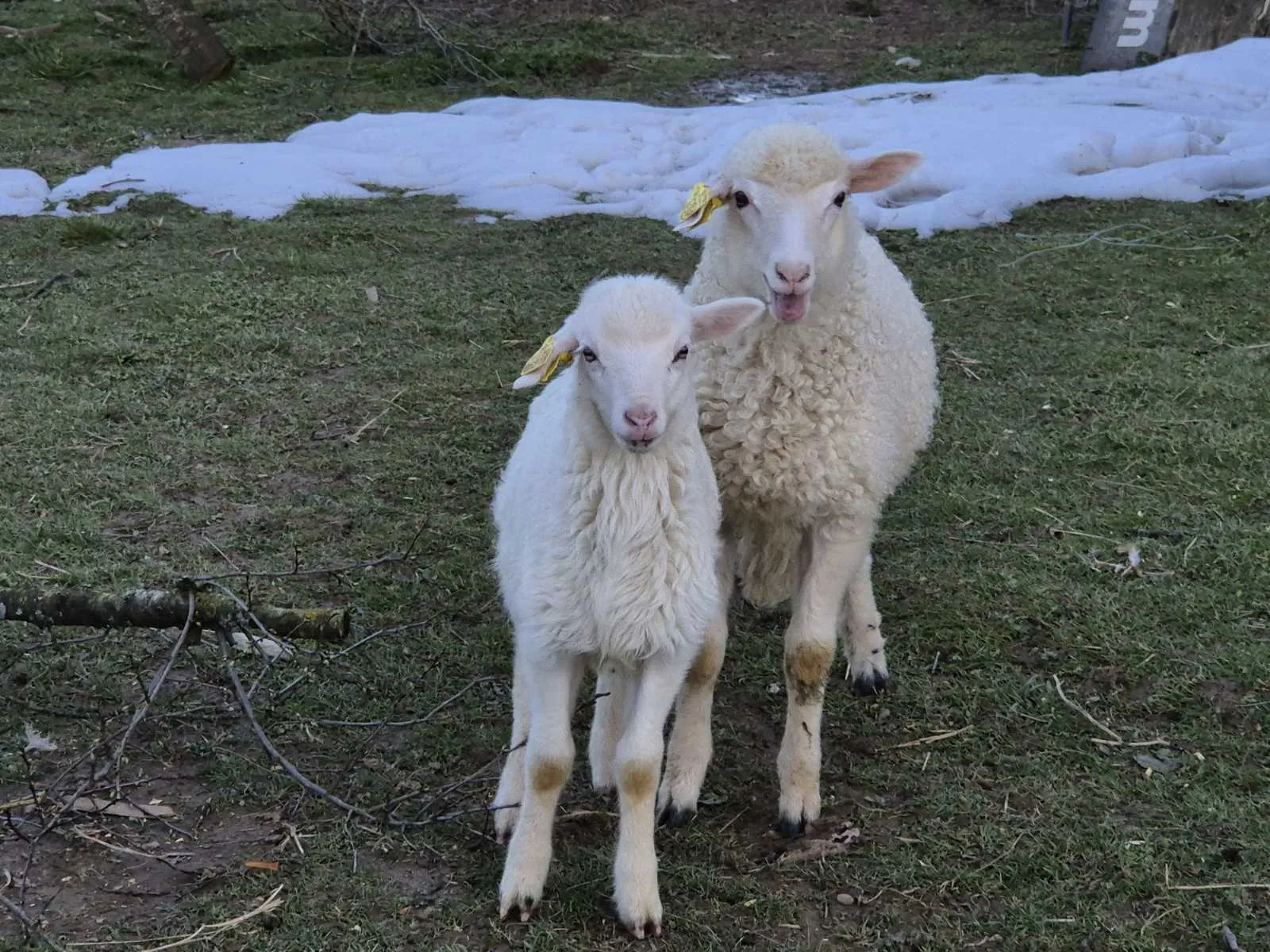 Plitvice Breza - Surroundings